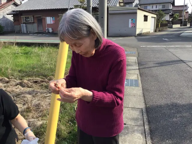 春ですね☘️つくしがいっぱい。早速、はかまをきれいにとってくれ、卵とじにしましょうか？
今日のご飯の一品にしようか？
楽しいひとときを過ごせました♪