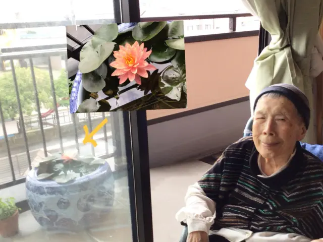 桐の間です

今日は朝からベランダにあるハスの花が一本咲いていました。　入居者様と思い出の一枚を撮影しました。

そして、春から育てはじめたゴーヤ、メロン、パプリカなど植物も元気に育ってますよ🎵