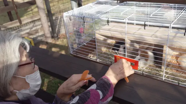 ほのぼのとした場所で気分転換

どうぶつに癒されました。。。
「うち(葉栗の郷)でも飼おう。飼って！」とご要望いただきました😂