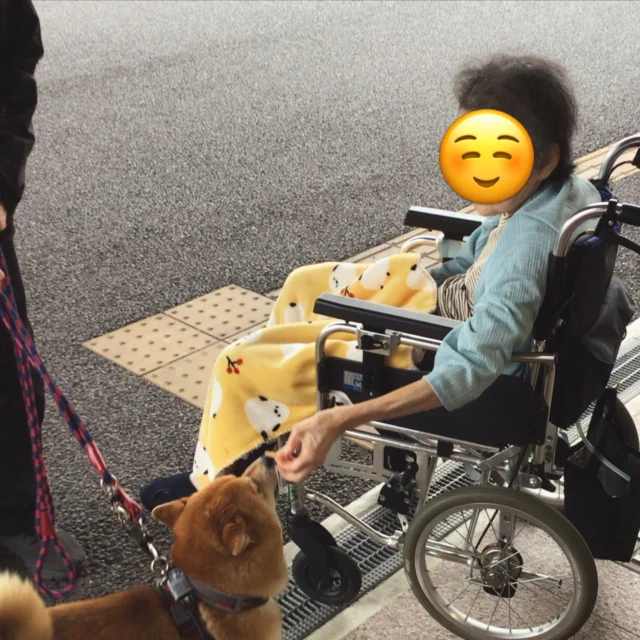 柊の間の利用者様でご自宅で柴犬を飼われていましたが、
長い間会えておらず
ご本人様より「会いたい」と言われたのでご家族様に協力していただき
対面☺️
とても素敵な笑顔でした😀
次回は一緒に散歩にいけれるといいですねぇ

#介護 #特養 #一宮市 #元気寿会 #葉栗の郷