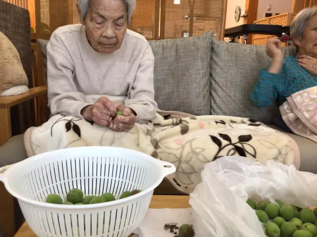先日梅を頂いたので梅ジュースをみなさん一緒に作りました♪手馴れた様子で手早く下処理をしてくださいました。美味しいジュースになるのが楽しみです  #ユニットリーダー研修実地研修施設 
#梅ジュース
#ユニットケア
#地域密着型特別養護老人ホーム