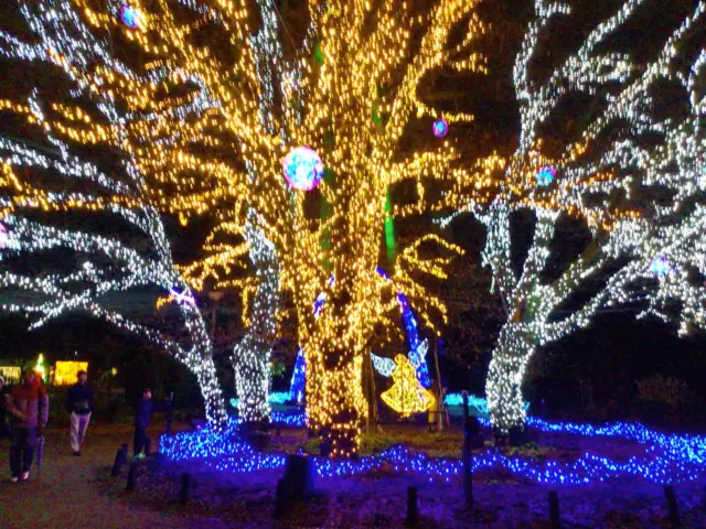 本日も138タワーへイルミネーションを観に行きました。
本日が最終日という事もありたくさんの人で賑わっていました。
直前に雨も上がり風もなく良いクリスマス🎄の思い出ができました。
#ユニットリーダー研修実地研修施設 
#ユニットケア
#ゆとりの郷
#3番地