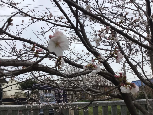 お天気が良く近所の散歩に出てきました
素敵な笑顔ですね〜😄
最高の1枚です📷
#ゆとりの郷
#ユニットケア
#ユニットリーダー研修実地研修施設 
#地域密着型特別養護老人ホーム