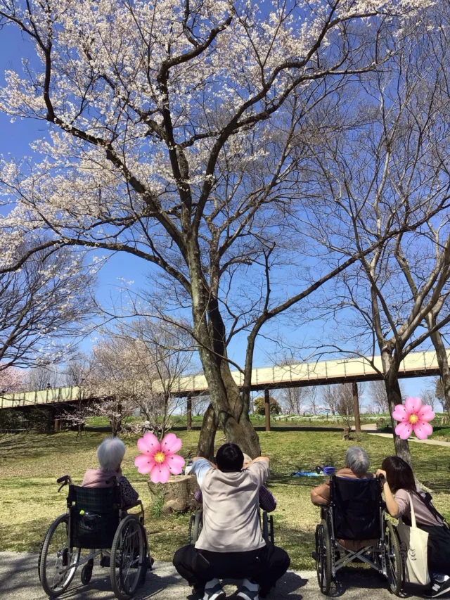 園芸クラブで桜を見に行きました♪
ぽかぽか陽気と満開の桜🌸春はやっぱり特別ですね〜😊  #特別養護老人ホームゆとりの郷
#ユニットリーダー実地研修施設
#ユニットケア
#介護
#花見